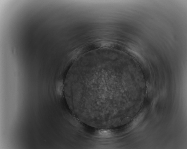 X0000094960189200712061319