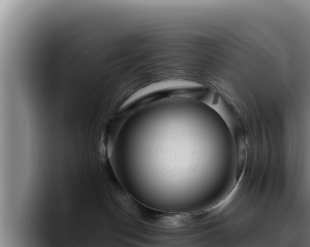 X0000094960190200712061319