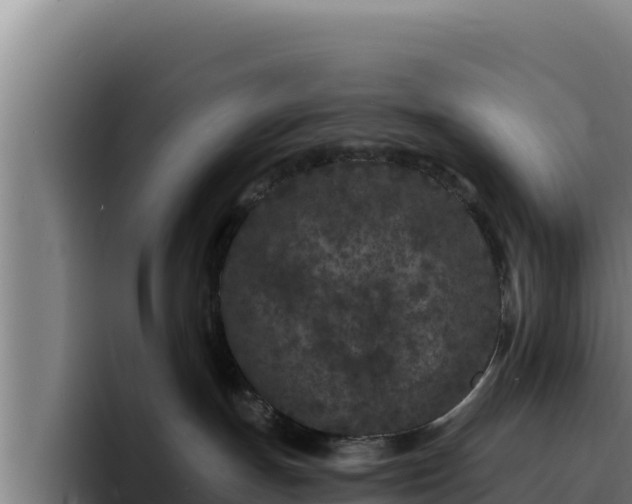 X0000094960191200712061319