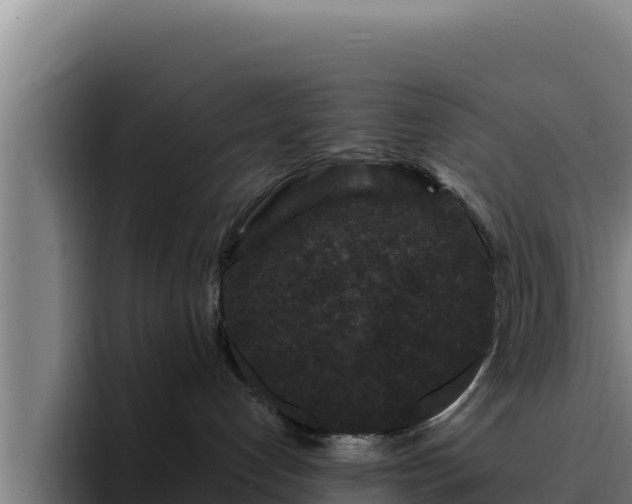 X0000094960192200712061319