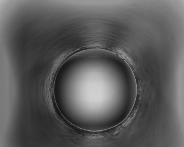 X0000094960193200712061318