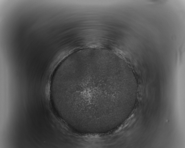 X0000094960194200712061318