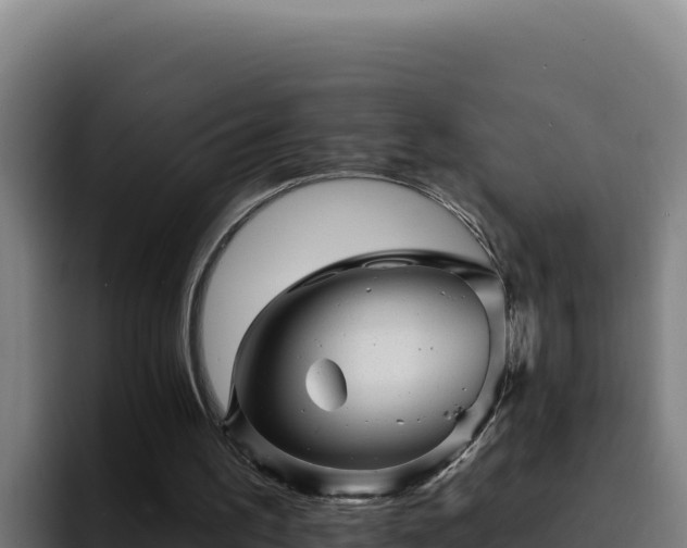 X0000094960195200712061318