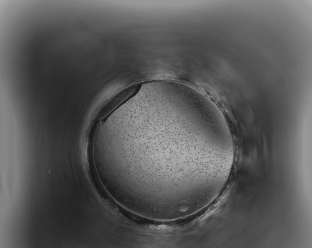 X0000094960197200712061318