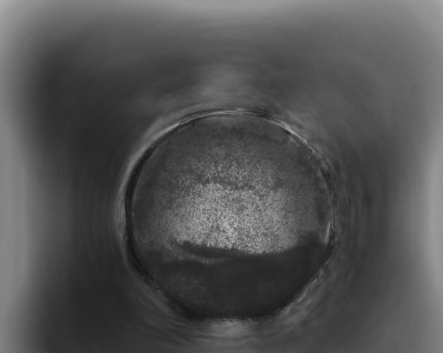 X0000094960198200712061318