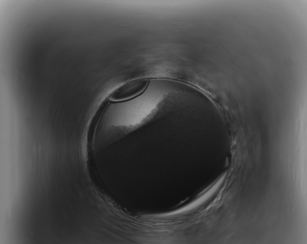 X0000094960200200712061318