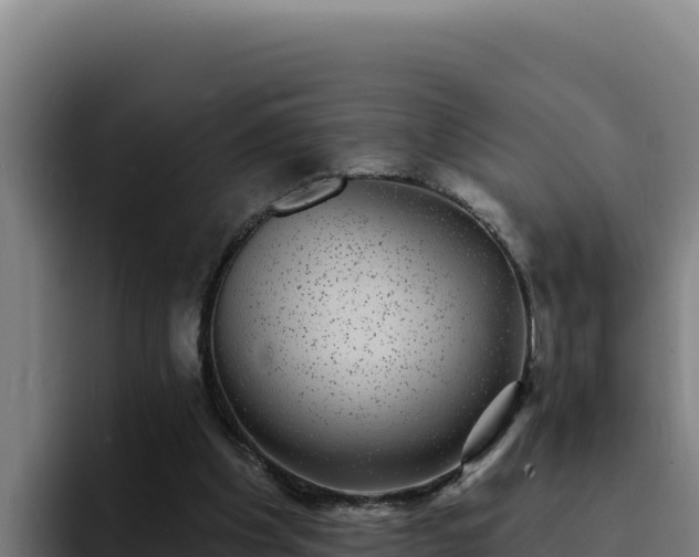 X0000094960201200712061318