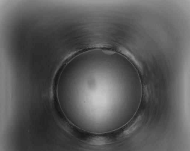 X0000094960203200712061318