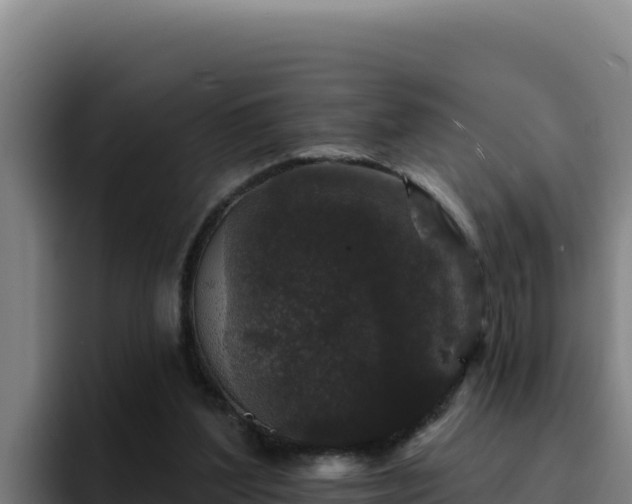 X0000094960204200712061318