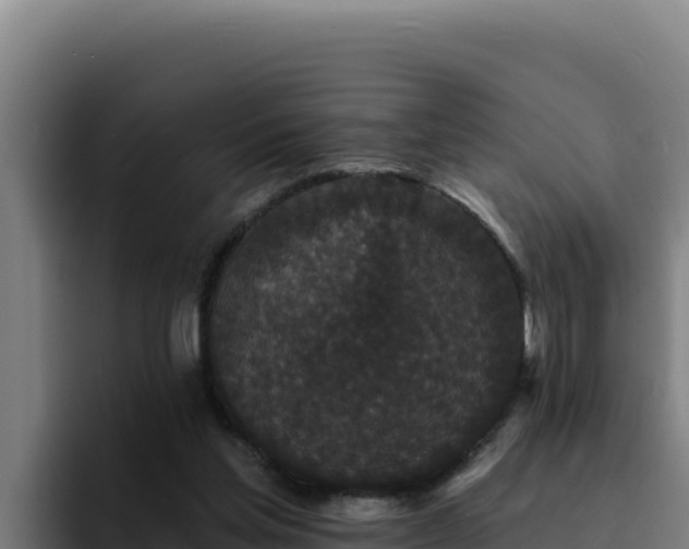 X0000094960205200712061318