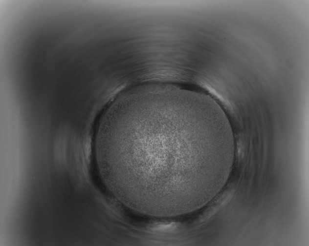 X0000094960206200712061318