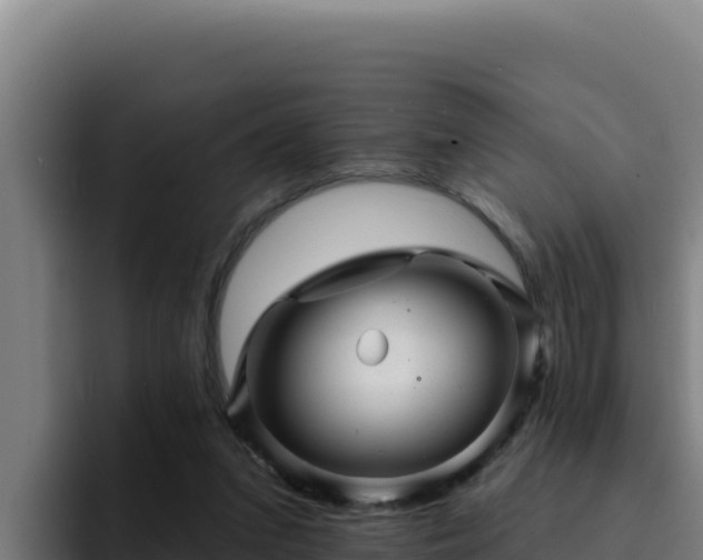 X0000094960207200712061318