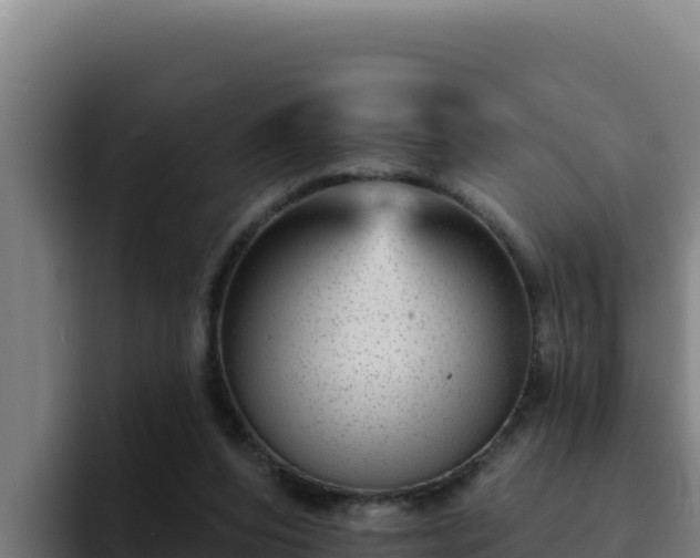 X0000094960208200712061318