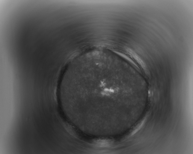 X0000094960209200712061318