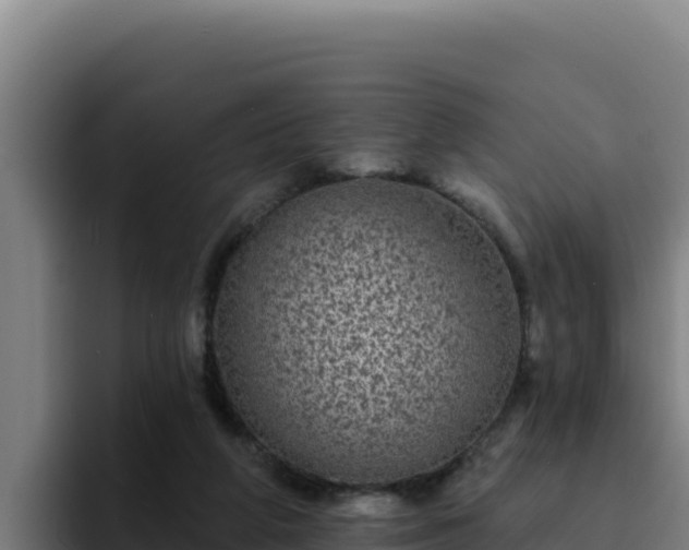 X0000094960210200712061318