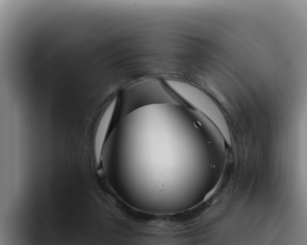 X0000094960211200712061318