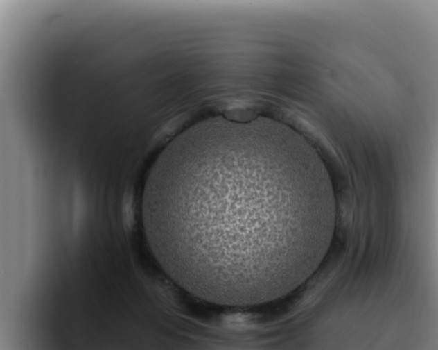 X0000094960216200712061318