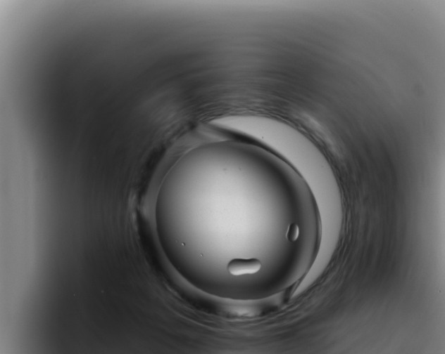 X0000094960217200712061318