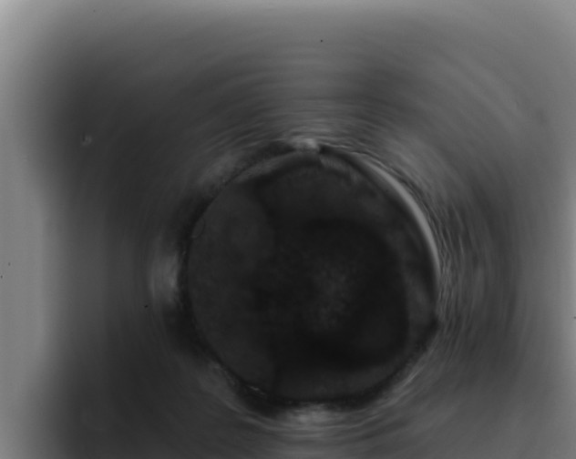 X0000094960219200712061318