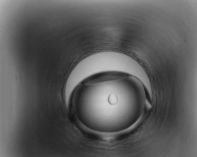 X0000094960221200712061318