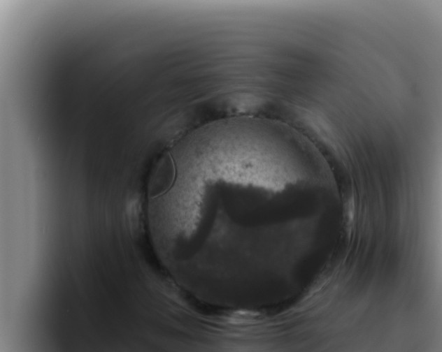 X0000094960222200712061318