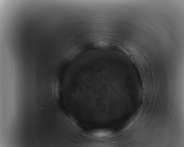 X0000094960223200712061318