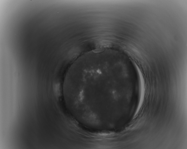 X0000094960224200712061318