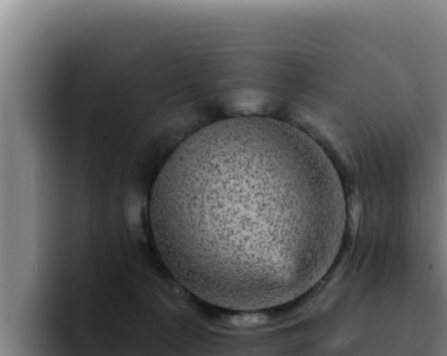 X0000094960225200712061318