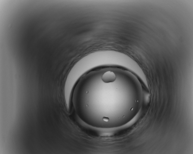 X0000094960228200712061318