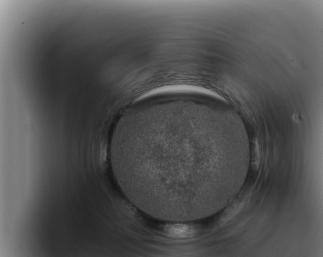 X0000094960230200712061318