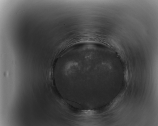 X0000094960233200712061318