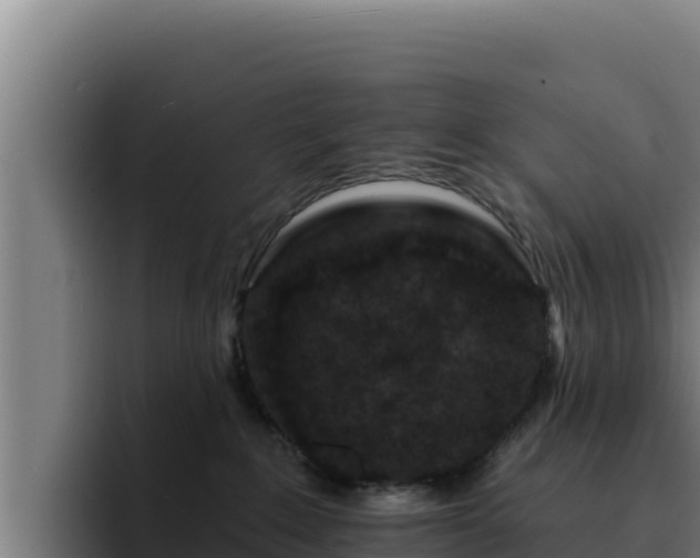 X0000094960235200712061318