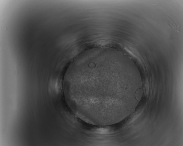 X0000094960236200712061318