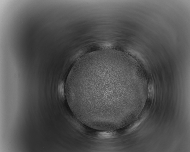 X0000094960238200712061318