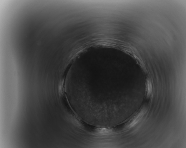 X0000094960239200712061318