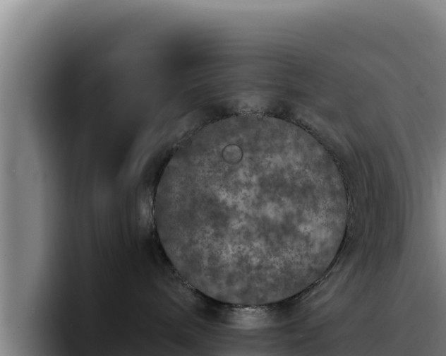 X0000094960240200712061318