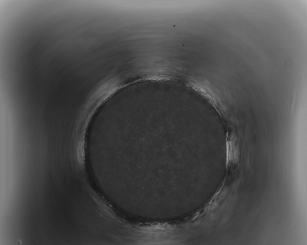 X0000094960243200712061317