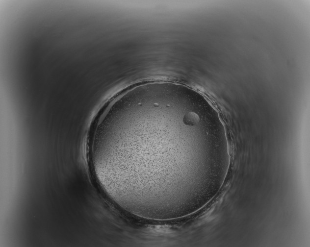 X0000094960244200712061317