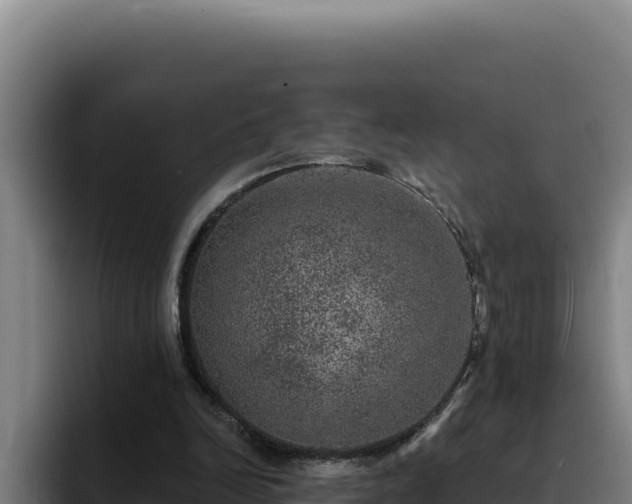 X0000094960246200712061317