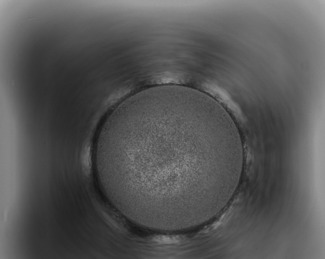 X0000094960250200712061317