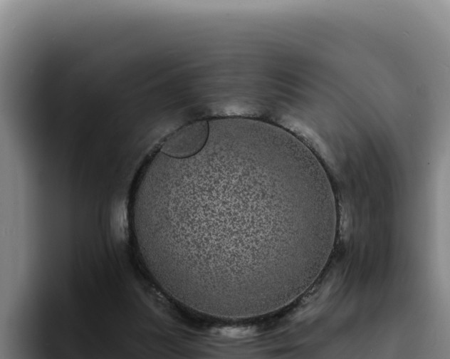 X0000094960251200712061317