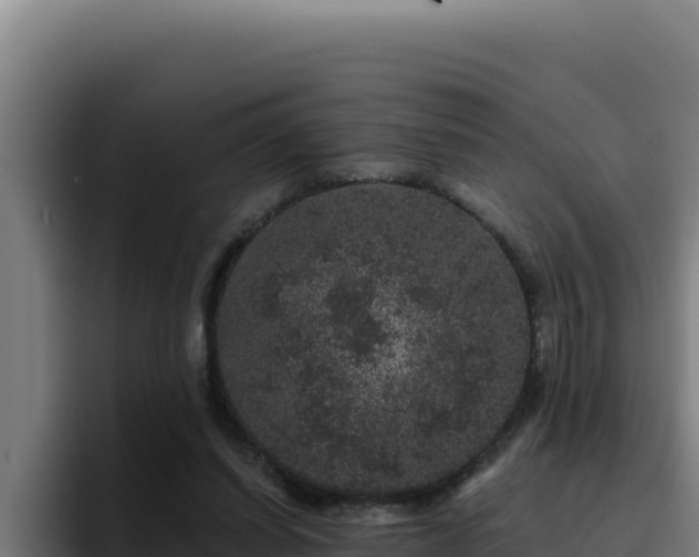 X0000094960254200712061317