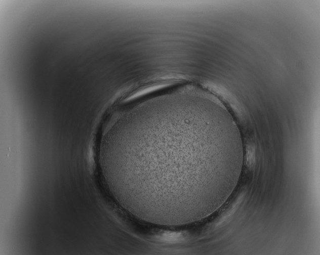 X0000094960256200712061317