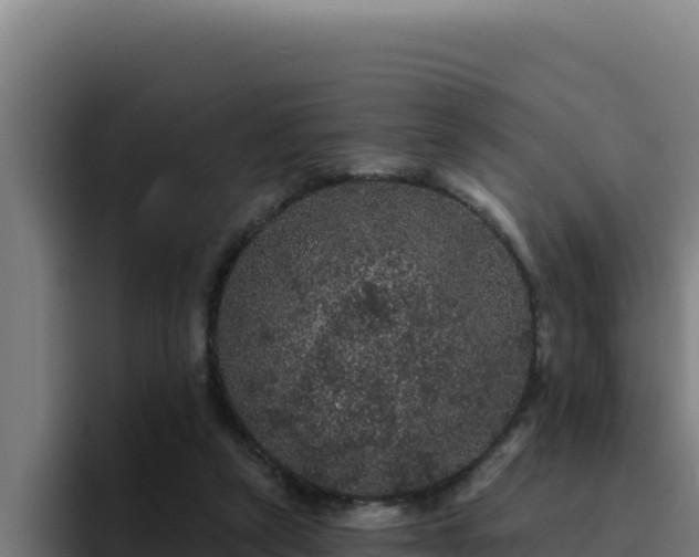 X0000094960257200712061317