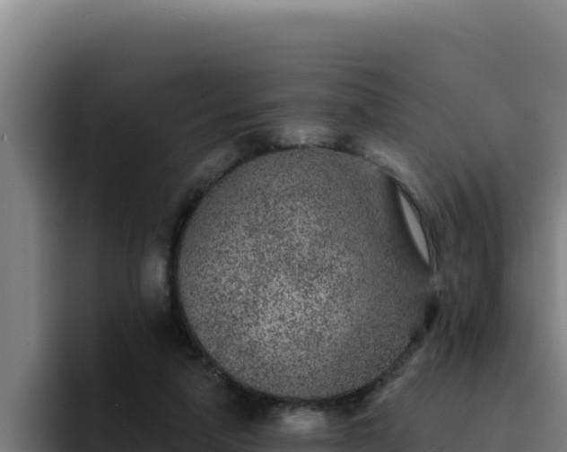 X0000094960258200712061317