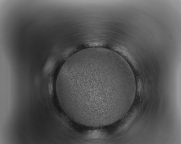 X0000094960259200712061317