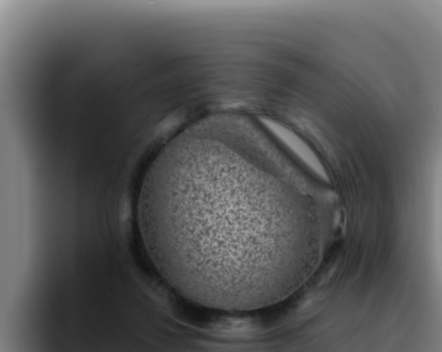 X0000094960260200712061317