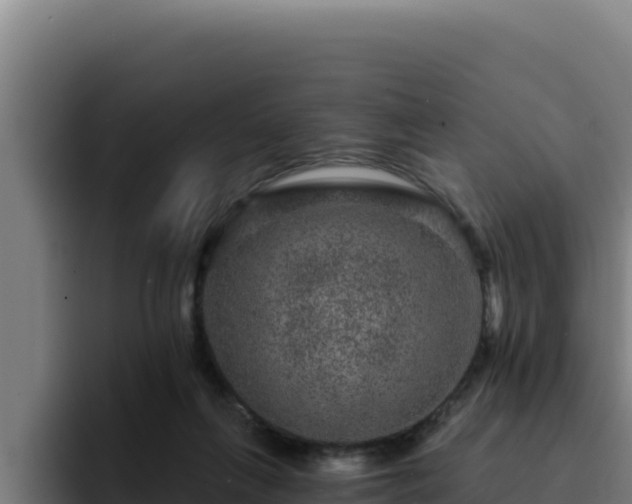 X0000094960263200712061317