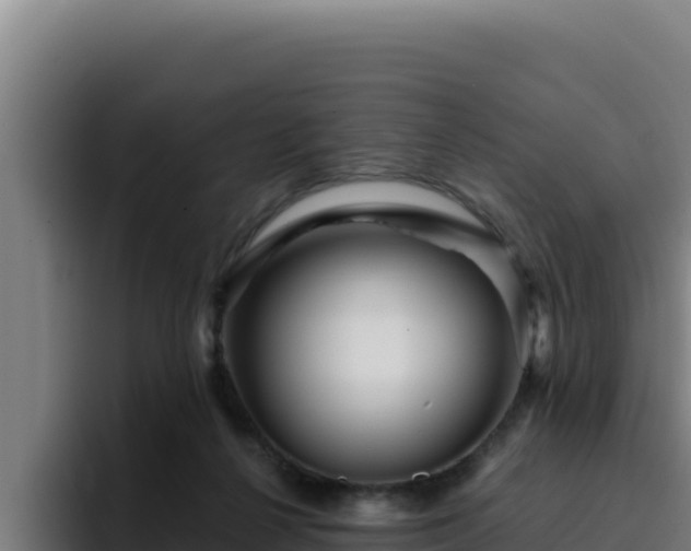 X0000094960264200712061317