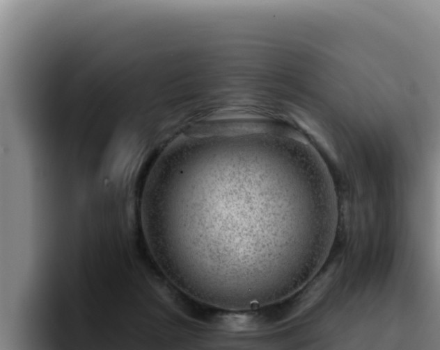 X0000094960265200712061317